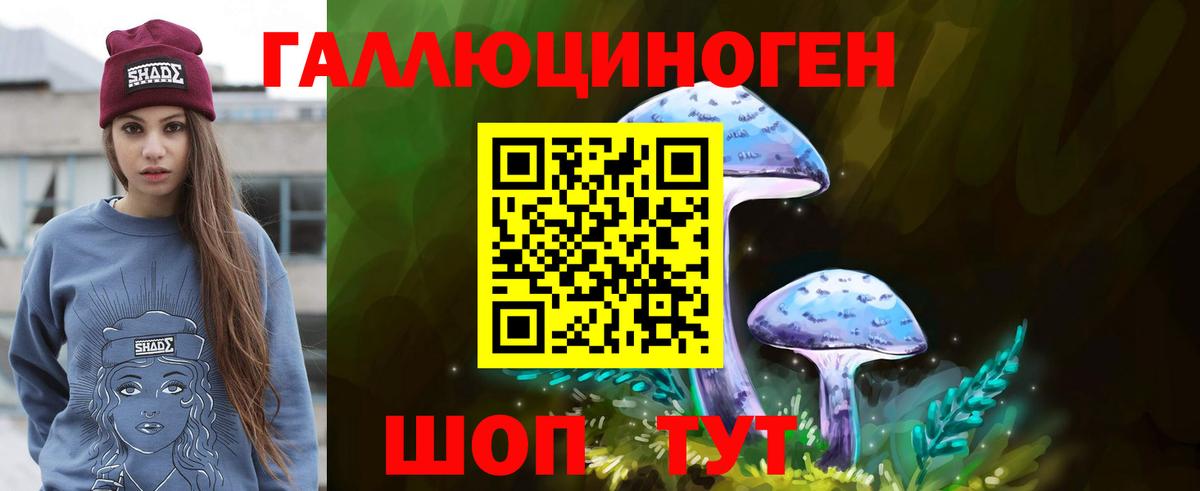 Галлюциногенные грибы MAGIC MUSHROOMS  Вход с VPN  Галлюциногенные грибы ЛСД  закладка  Сланцы 